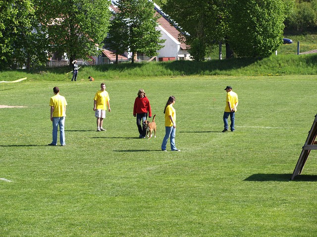 www.atibox.net * www.euroboxer.eu * www.boxergenealogia.eu